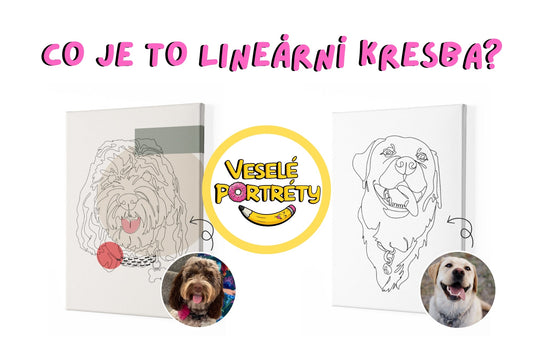 Dva obrazy linéární kresby (line art, linia, portét jedním tahem) pro článek na VeselePortrety.cz