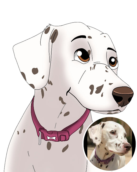 Custom pet portrait of an Dalmatian dog in Disney style from photo on white background as custom illustraited gift. Portraiteo