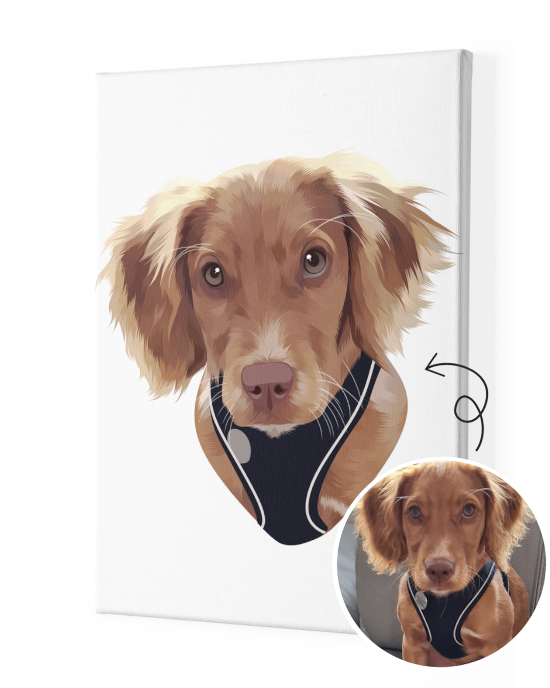 Custom pet portrait from photo of a cute brown puppy on white canvas as an original custom painting gift for pets. Portraiteo