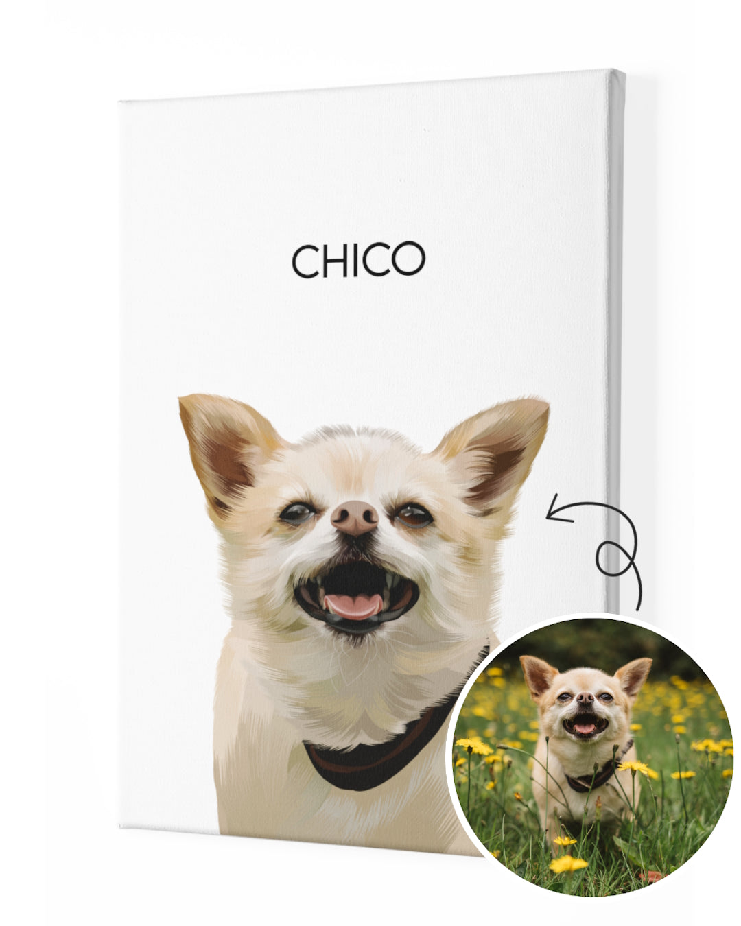 Custom pet portrait from photo of a blond Chihuahua named Chico on white print as an painted illustrated gift. Portraiteo.com