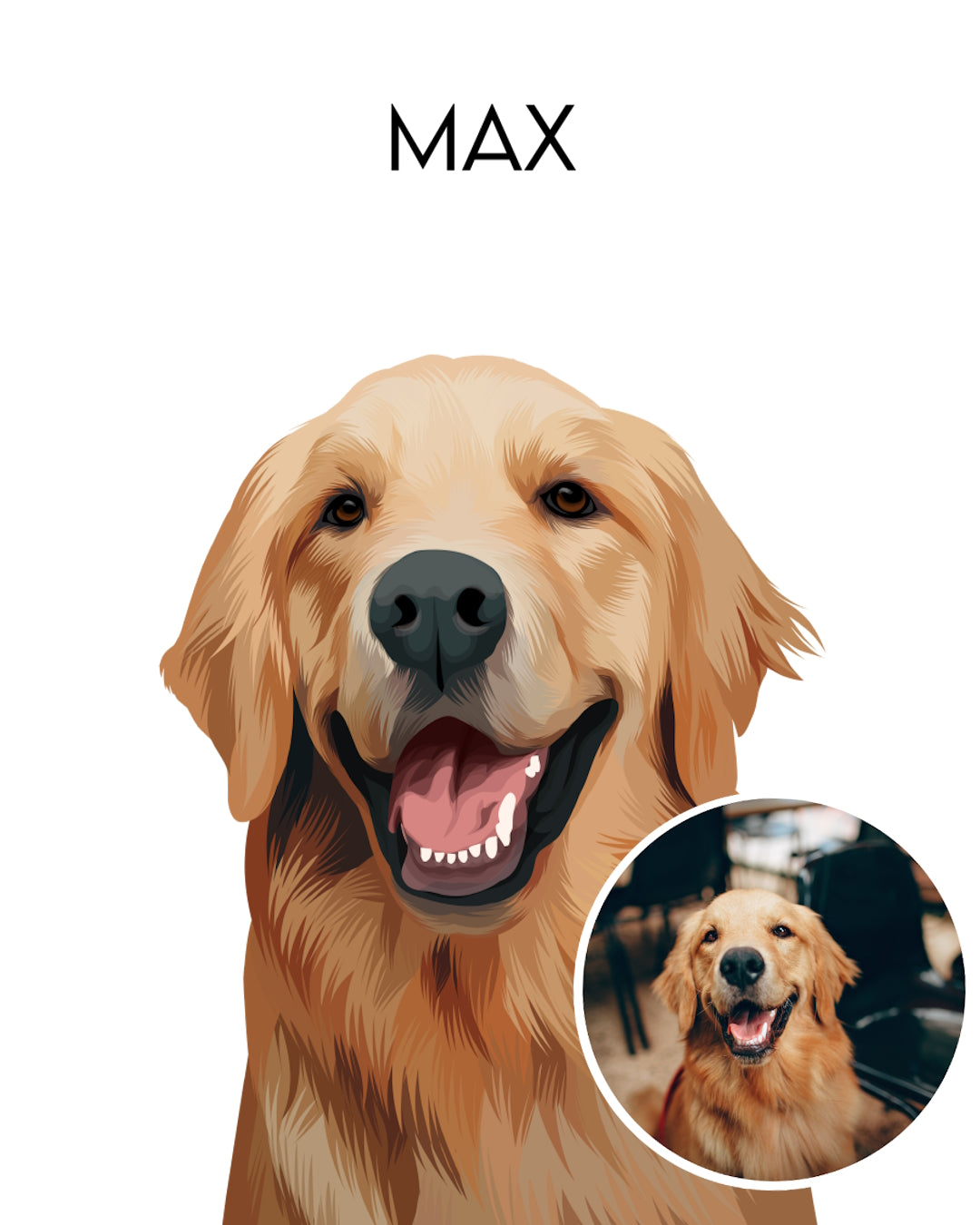 Custom pet portrait from photo of a Golden Retriever named Max on white print as an painted illustrated gift. Portraiteo.com