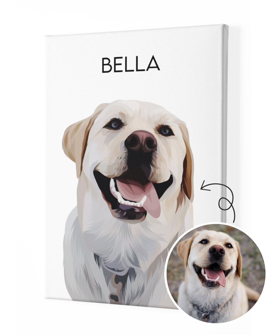 Custom pet portrait from photo of a white Labrador dog named Bella on a white canvas as an illustrated custom gift. Portraiteo