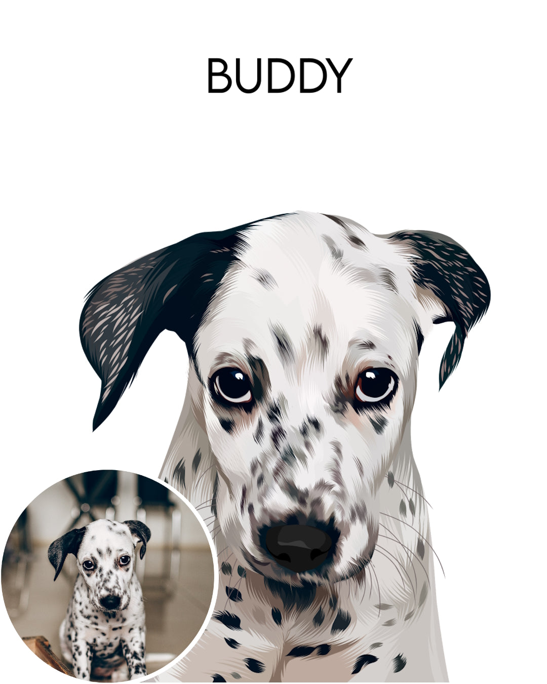 Digital dog painting of a sad Dalmatian puppy named Buddy on white background as a custom pet portrait gift idea. Portraiteo