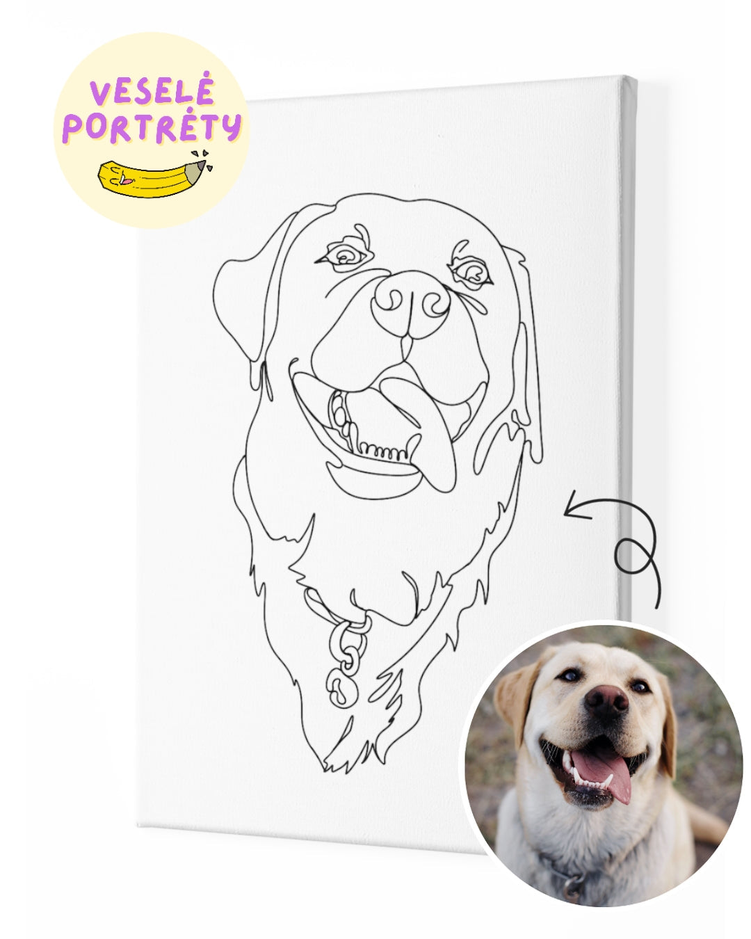 Minimalistický portrét line art zlatého retrívra na bílém plátně. Abstraktní portrét jednou linkou | VeselePortrety.cz