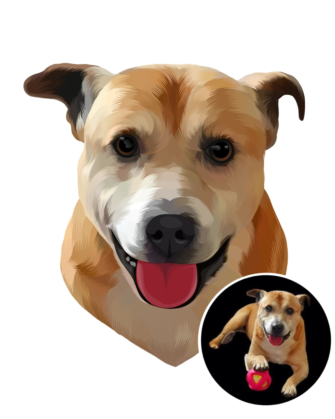 Personalised custom dog painting from a photo of a brown Pitbull on white bg as a painted pet portrait gift idea. Portraiteo